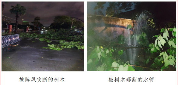 image1.png