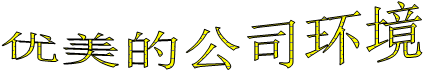优美的公司环境