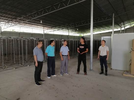 说明: E:\祝新党政办工作资料\党政办常规工作\秘书科工作\新闻稿\校领导带队到融安县开展调研\金丝黄桔基地.jpg